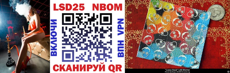 KRAKEN как зайти Зеленогорск Марки NBOMe 1,8мг