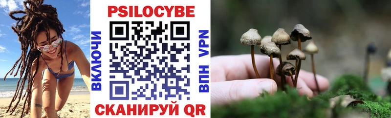 Псилоцибиновые грибы Cubensis  Зеленогорск 