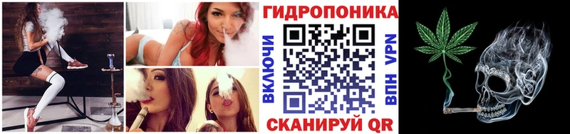 Бошки Шишки MAZAR  Зеленогорск 